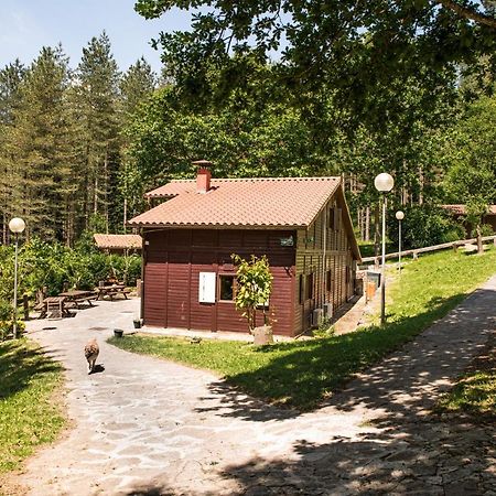 Gaztainuzketa Mendi Etxeak Διαμέρισμα Leintz-Gatzaga Εξωτερικό φωτογραφία
